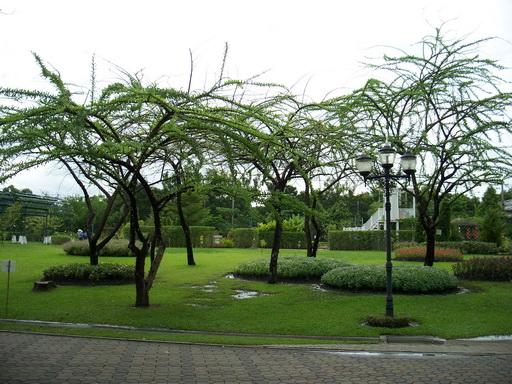104_7494.jpg